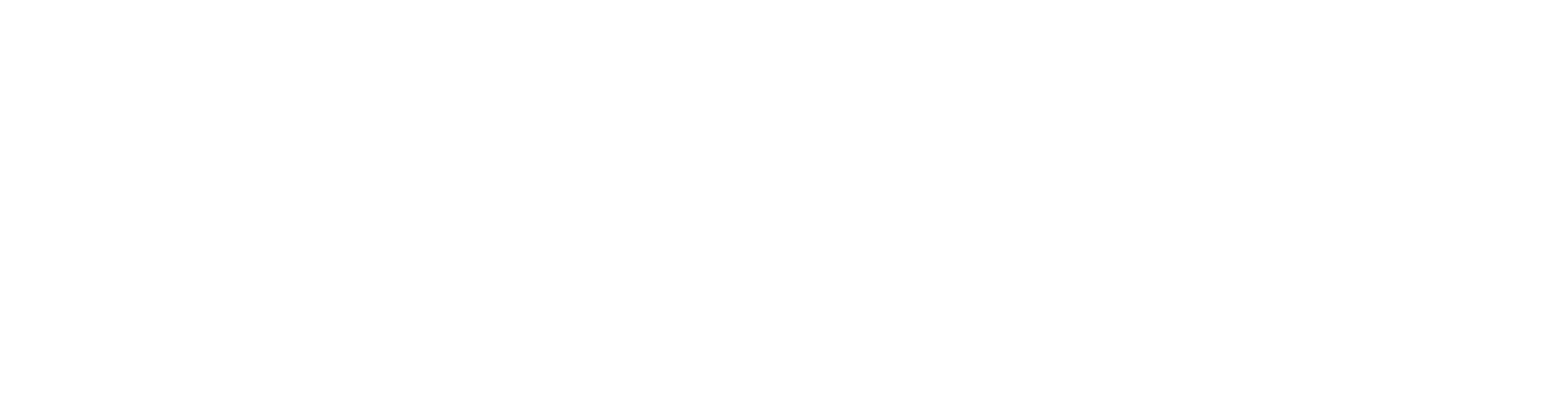 Junior report / revistes escolars